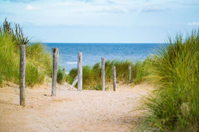Summer Holiday